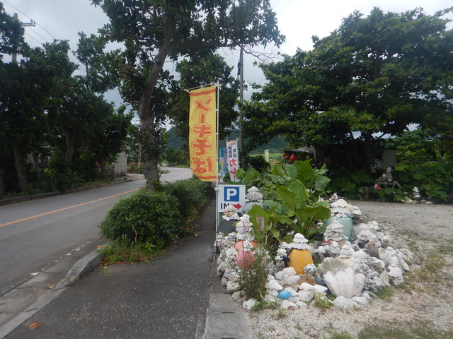 DSCN4796