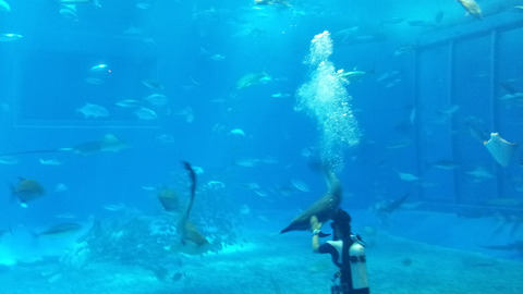 20130809_140625