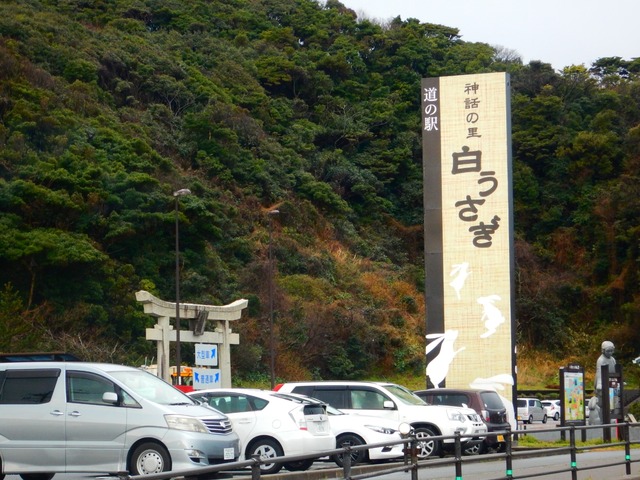 DSCN7222