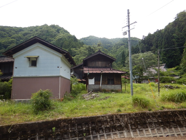 DSCN6981