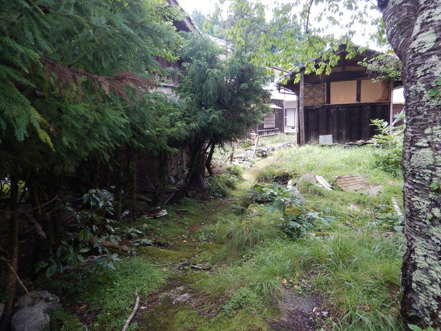 DSCN6962