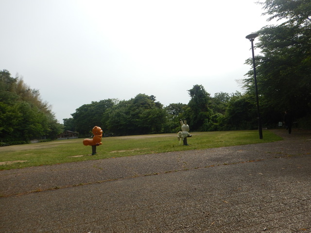 DSCN4749