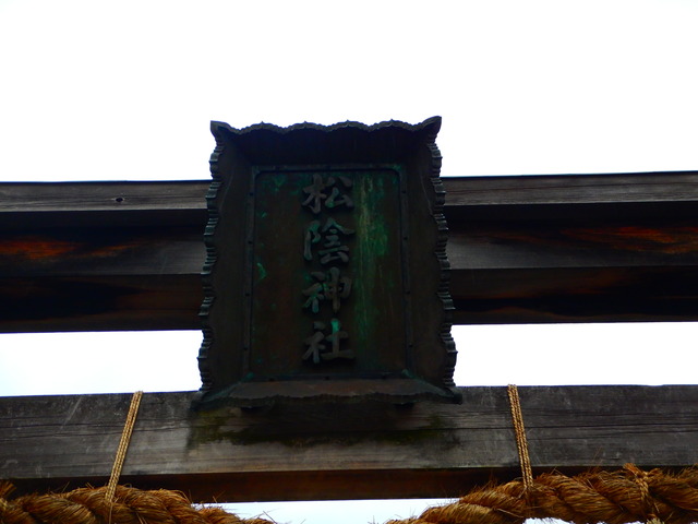 DSCN7364