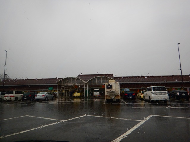 DSCN7226