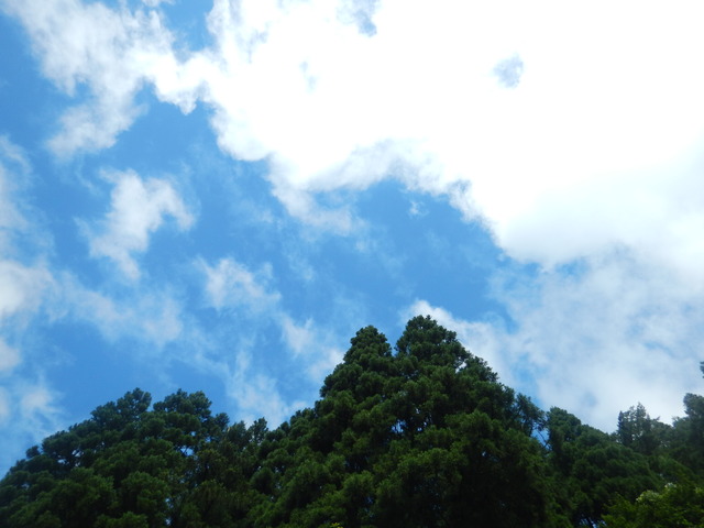 DSCN5777