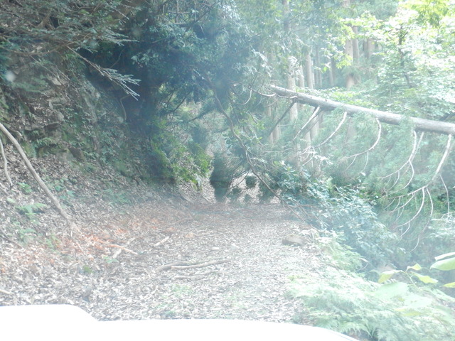 DSCN7040