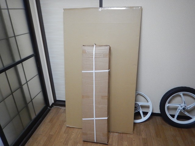 DSCN5686