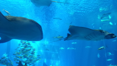 20130809_140711