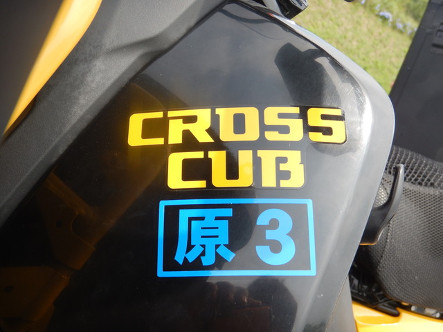 DSCN5528