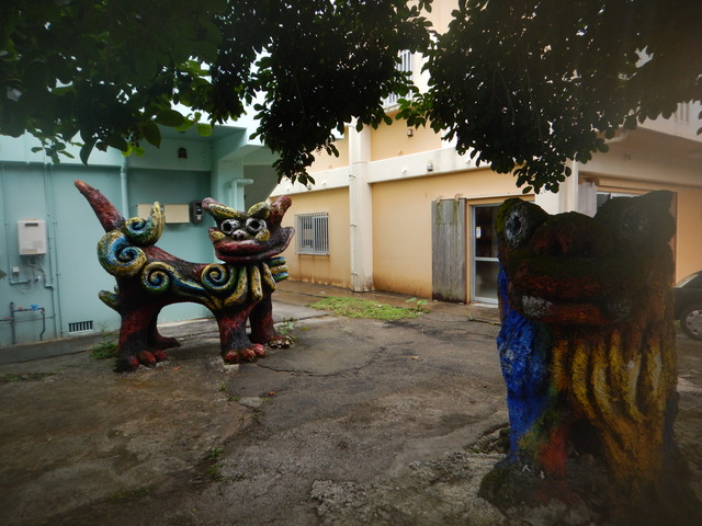 DSCN4858