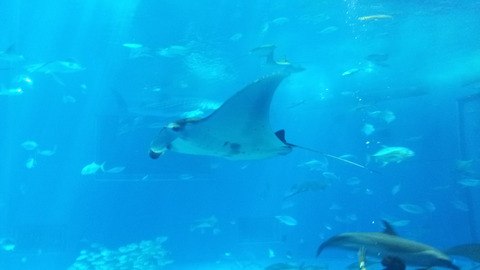20130809_140643