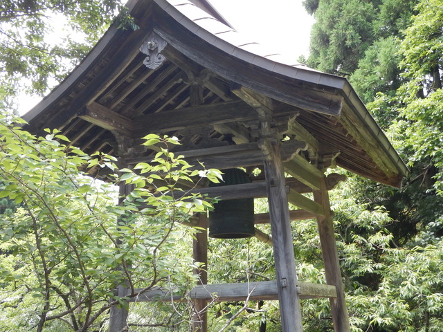 DSCN6967