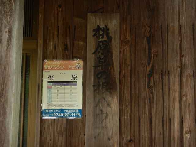 DSCN6941