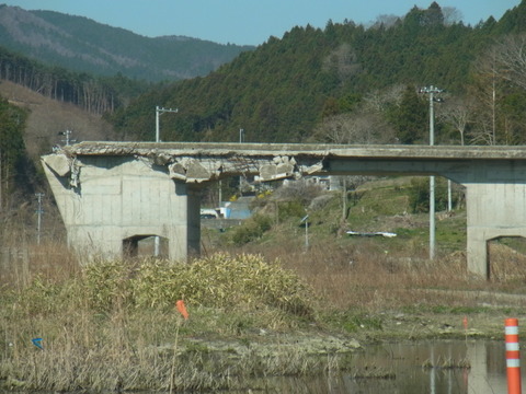 RIMG0235