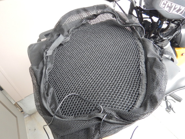 DSCN5273