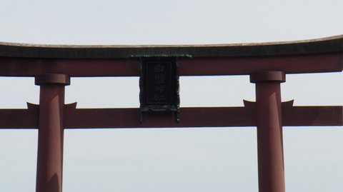 RIMG0016