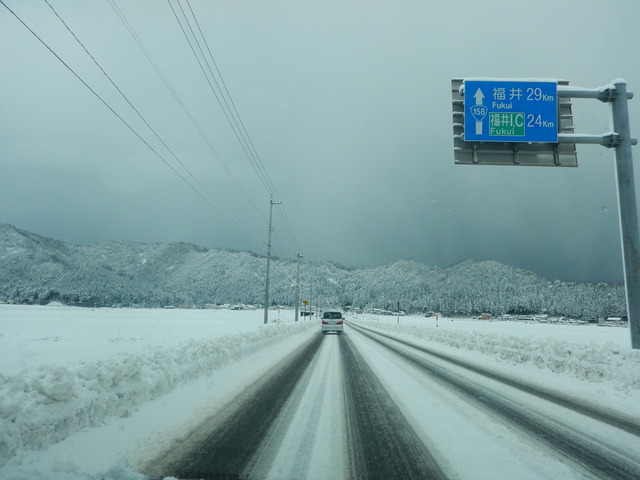 DSCN3181