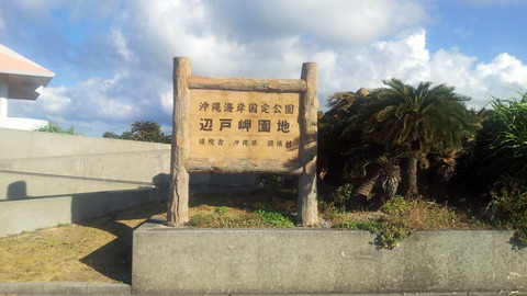 20130809_171224