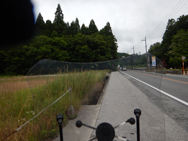 DSCN5278