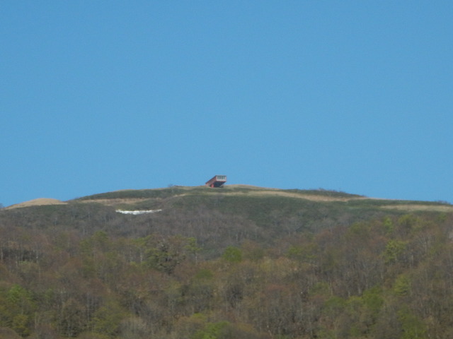 DSCN4676