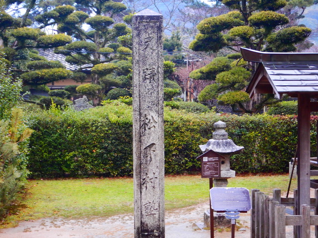 DSCN7345