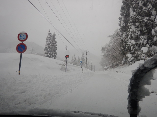DSCN3162