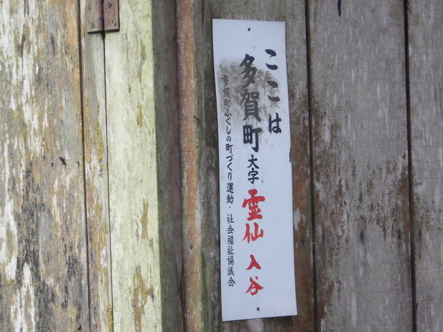 DSCN6985