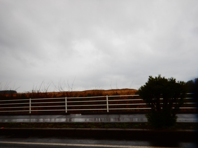 DSCN7219