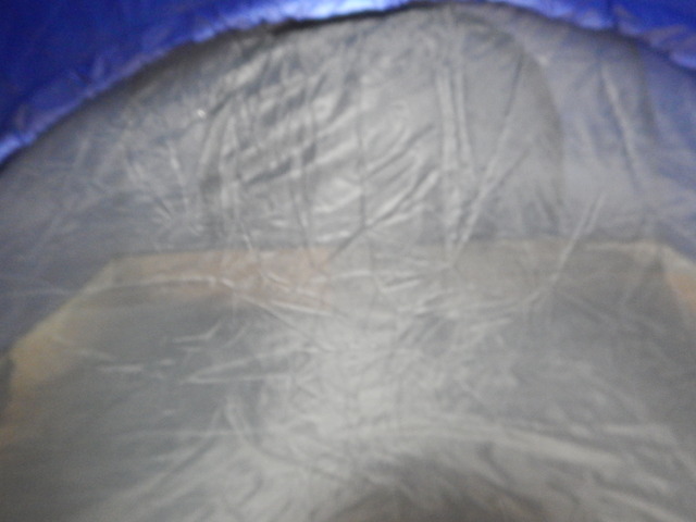 DSCN4270