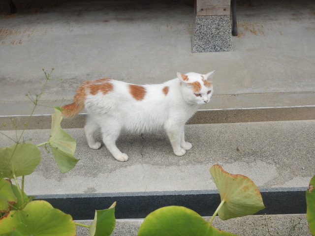 DSCN5753