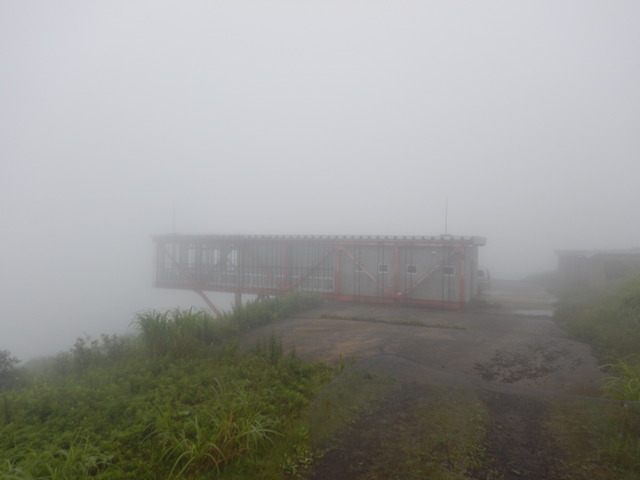 DSCN5767