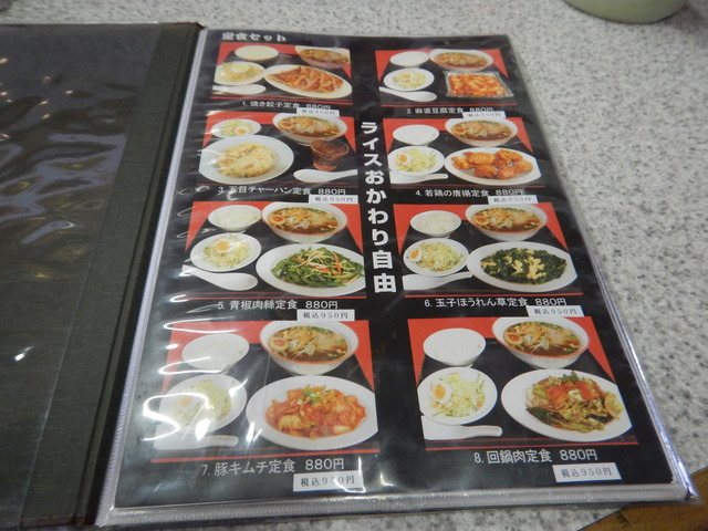 DSCN5290