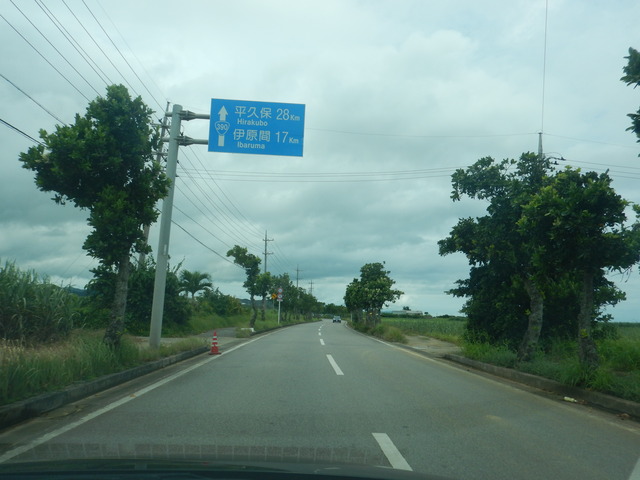 DSCN4792
