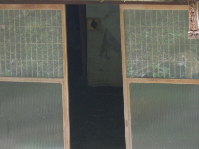 DSCN6945