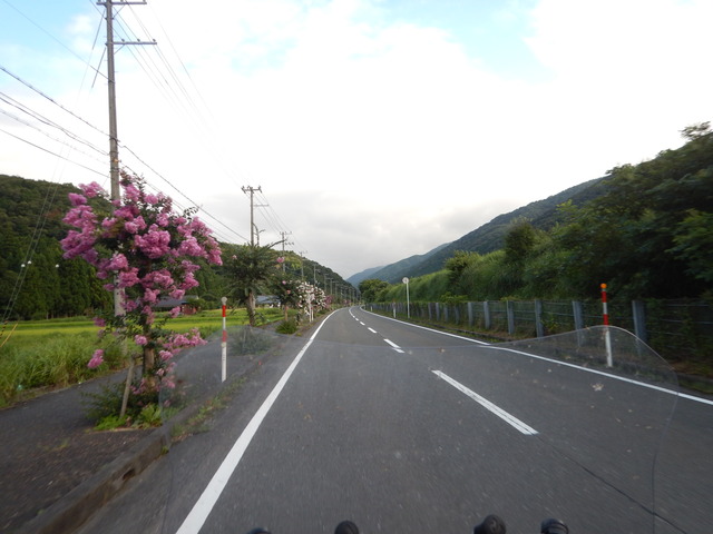 DSCN5740