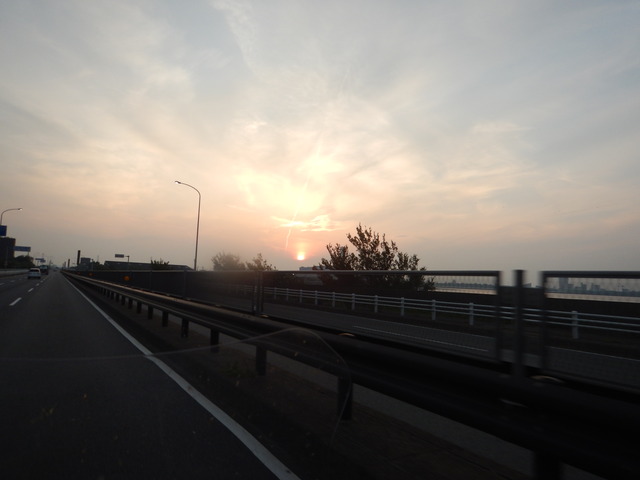 DSCN5498