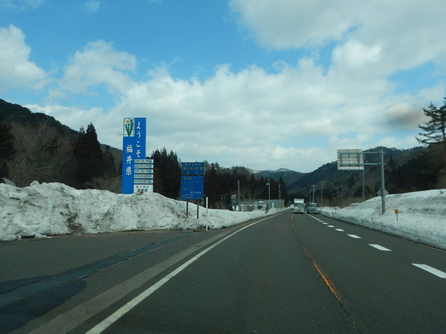 DSCN6415