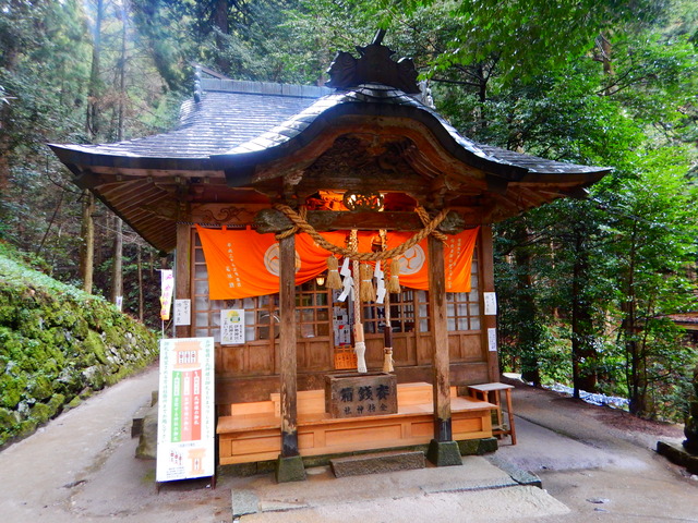DSCN7252