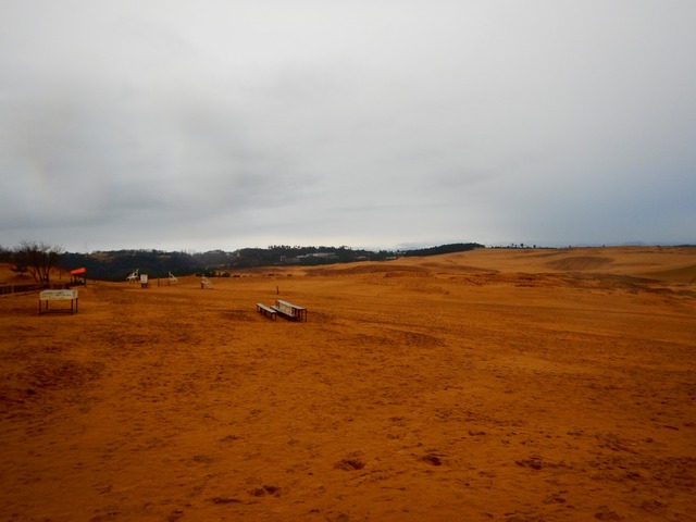 DSCN7214