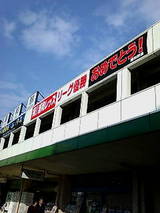7959b352.jpg