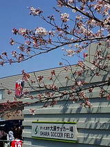 91a8d276.jpg