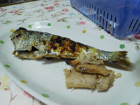 鰊