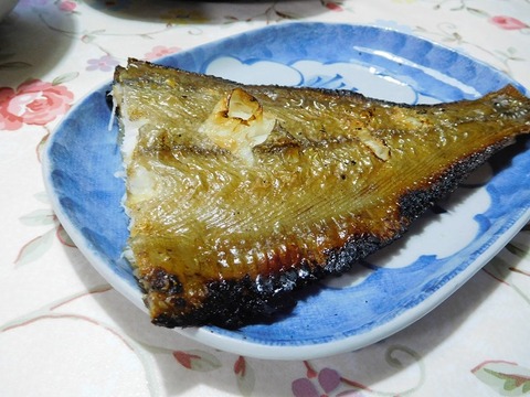 鰈