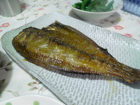 鰈