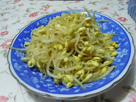 豆もやし炒め