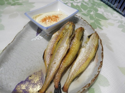 氷下魚