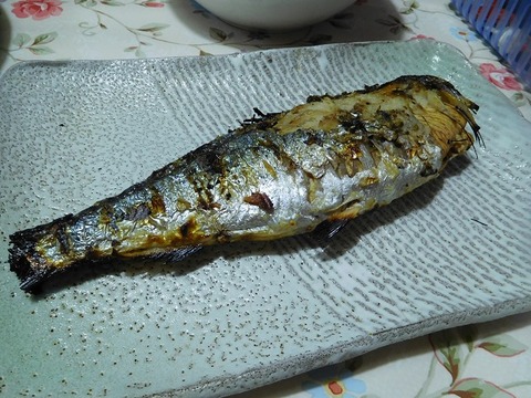 鰊