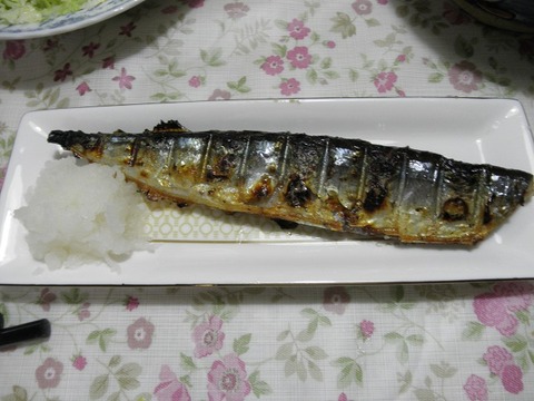 秋刀魚