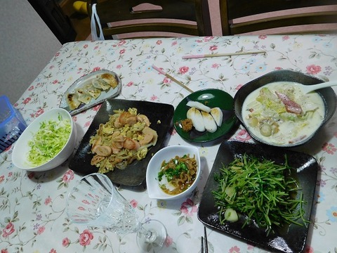 DSCN3303