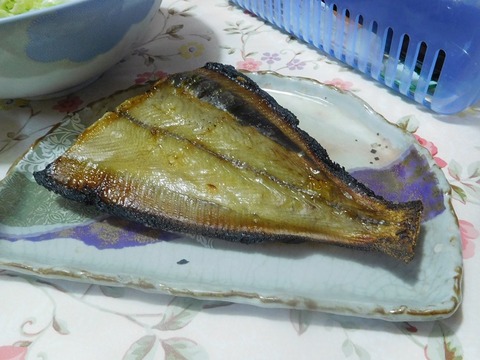 鰈